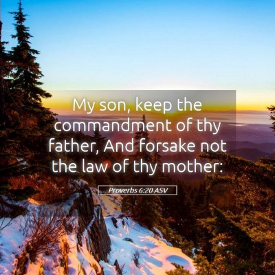 Picture 05 - Proverbs 6:20 ASV - My son, keep the commandment of thy father, And - Bible Verse Picture