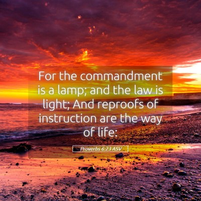 Picture 05 - Proverbs 6:23 ASV - For the commandment is a lamp; and the law is - Bible Verse Picture