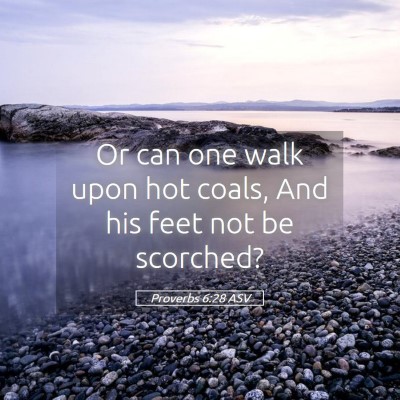 Picture 05 - Proverbs 6:28 ASV - Or can one walk upon hot coals, And his feet not - Bible Verse Picture