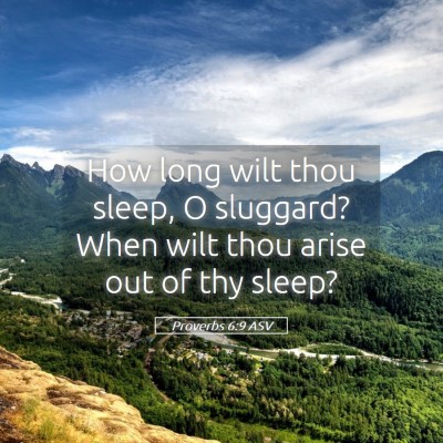 Picture 05 - Proverbs 6:9 ASV - How long wilt thou sleep, O sluggard? When wilt - Bible Verse Picture