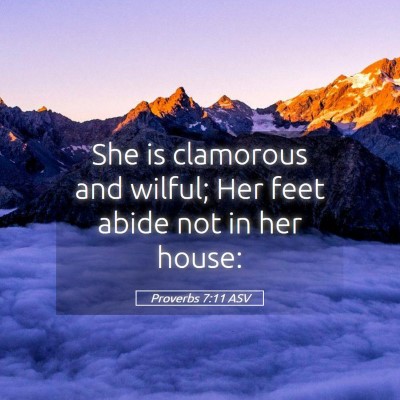 Picture 05 - Proverbs 7:11 ASV - She is clamorous and wilful; Her feet abide not - Bible Verse Picture