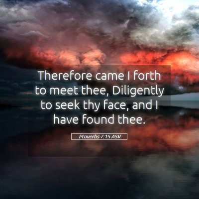 Picture 05 - Proverbs 7:15 ASV - Therefore came I forth to meet thee, Diligently - Bible Verse Picture