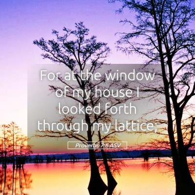 Picture 05 - Proverbs 7:6 ASV - For at the window of my house I looked forth - Bible Verse Picture
