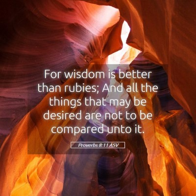 Picture 05 - Proverbs 8:11 ASV - For wisdom is better than rubies; And all the - Bible Verse Picture