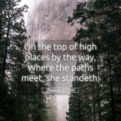 Picture 05 - Proverbs 8:2 ASV - On the top of high places by the way, Where the - Bible Verse Picture