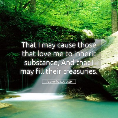 Picture 05 - Proverbs 8:21 ASV - That I may cause those that love me to inherit - Bible Verse Picture