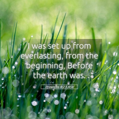 Picture 05 - Proverbs 8:23 ASV - I was set up from everlasting, from the - Bible Verse Picture