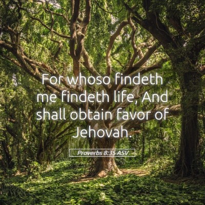 Picture 05 - Proverbs 8:35 ASV - For whoso findeth me findeth life, And shall - Bible Verse Picture
