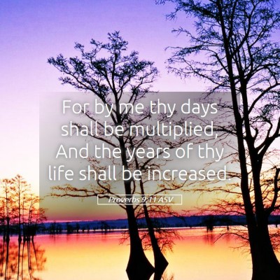 Picture 05 - Proverbs 9:11 ASV - For by me thy days shall be multiplied, And the - Bible Verse Picture