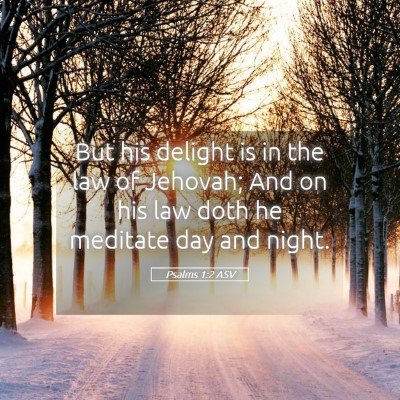 Picture 05 - Psalms 1:2 ASV - But his delight is in the law of Jehovah; And on - Bible Verse Picture