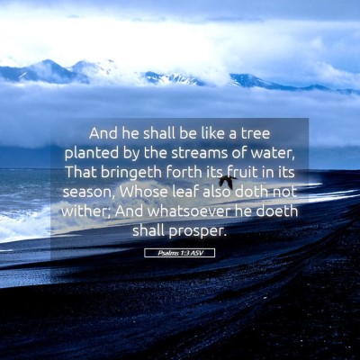 Picture 05 - Psalms 1:3 ASV - And he shall be like a tree planted by the - Bible Verse Picture