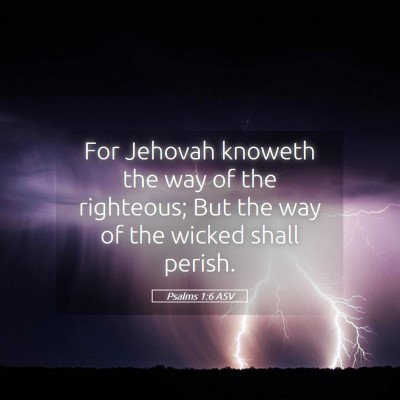 Picture 05 - Psalms 1:6 ASV - For Jehovah knoweth the way of the righteous; But - Bible Verse Picture