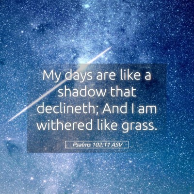 Picture 05 - Psalms 102:11 ASV - My days are like a shadow that declineth; And I - Bible Verse Picture