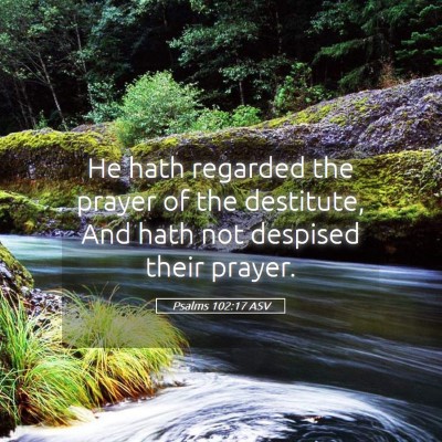 Picture 05 - Psalms 102:17 ASV - He hath regarded the prayer of the destitute, And - Bible Verse Picture
