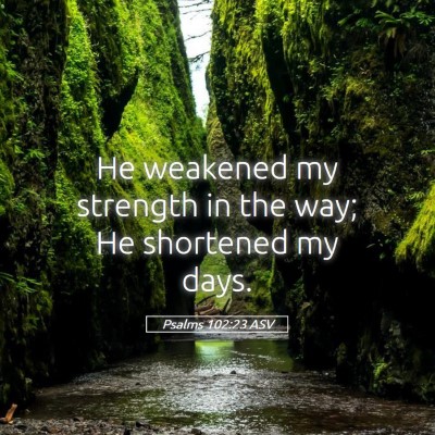 Picture 05 - Psalms 102:23 ASV - He weakened my strength in the way; He shortened - Bible Verse Picture