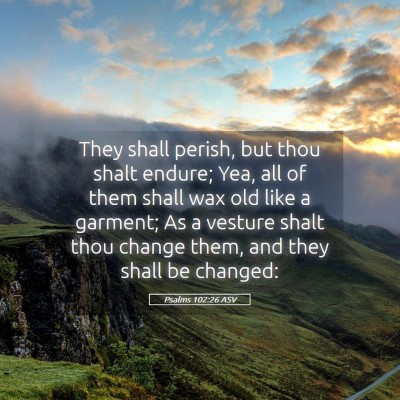 Picture 05 - Psalms 102:26 ASV - They shall perish, but thou shalt endure; Yea, - Bible Verse Picture