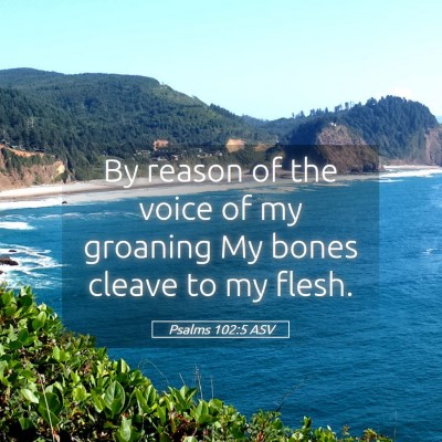 Picture 05 - Psalms 102:5 ASV - By reason of the voice of my groaning My bones - Bible Verse Picture