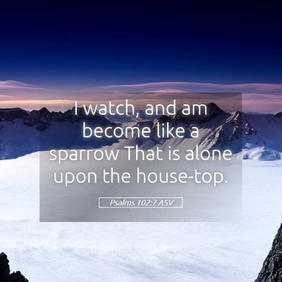 Picture 05 - Psalms 102:7 ASV - I watch, and am become like a sparrow That is - Bible Verse Picture
