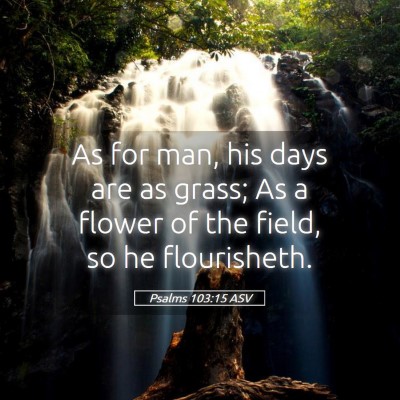 Picture 05 - Psalms 103:15 ASV - As for man, his days are as grass; As a flower of - Bible Verse Picture