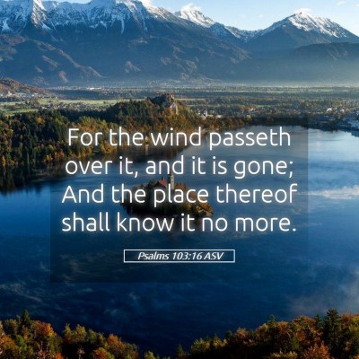 Picture 05 - Psalms 103:16 ASV - For the wind passeth over it, and it is gone; And - Bible Verse Picture