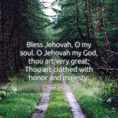 Picture 05 - Psalms 104:1 ASV - Bless Jehovah, O my soul. O Jehovah my God, thou - Bible Verse Picture
