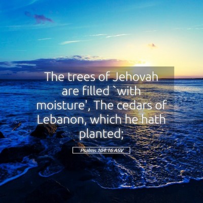Picture 05 - Psalms 104:16 ASV - The trees of Jehovah are filled `with moisture', - Bible Verse Picture