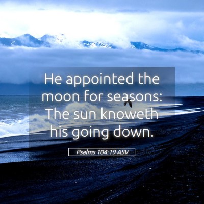 Picture 05 - Psalms 104:19 ASV - He appointed the moon for seasons: The sun - Bible Verse Picture