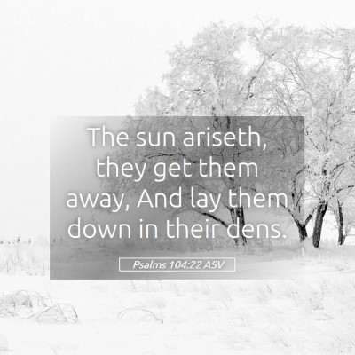 Picture 05 - Psalms 104:22 ASV - The sun ariseth, they get them away, And lay them - Bible Verse Picture