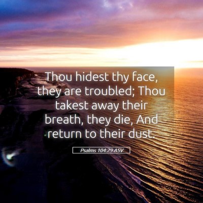 Picture 05 - Psalms 104:29 ASV - Thou hidest thy face, they are troubled; Thou - Bible Verse Picture