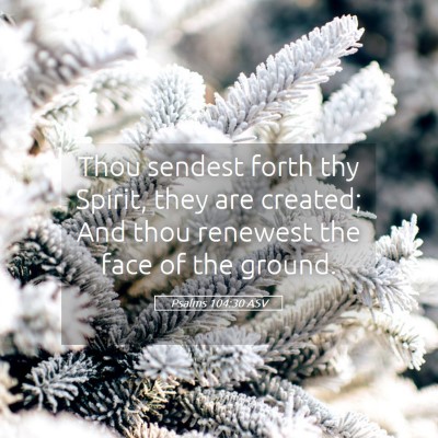 Picture 05 - Psalms 104:30 ASV - Thou sendest forth thy Spirit, they are created; - Bible Verse Picture