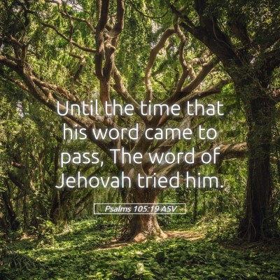 Picture 05 - Psalms 105:19 ASV - Until the time that his word came to pass, The - Bible Verse Picture