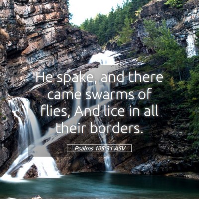 Picture 05 - Psalms 105:31 ASV - He spake, and there came swarms of flies, And - Bible Verse Picture