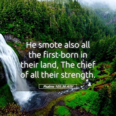 Picture 05 - Psalms 105:36 ASV - He smote also all the first-born in their land, - Bible Verse Picture
