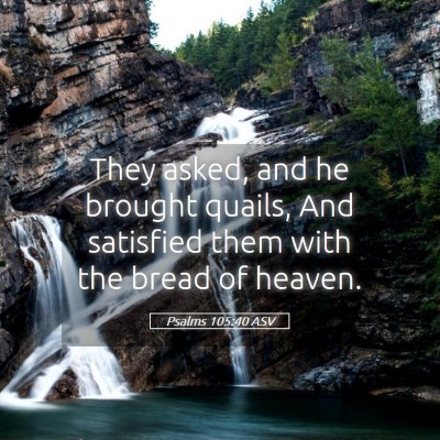 Picture 05 - Psalms 105:40 ASV - They asked, and he brought quails, And satisfied - Bible Verse Picture