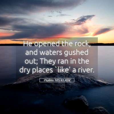 Picture 05 - Psalms 105:41 ASV - He opened the rock, and waters gushed out; They - Bible Verse Picture