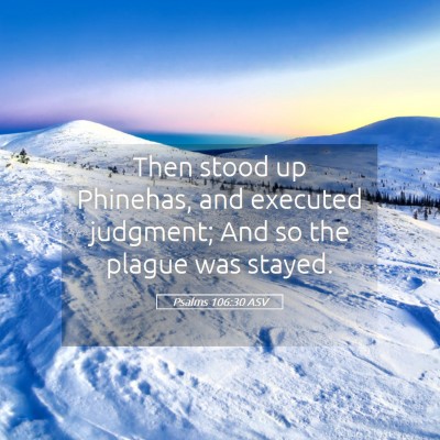 Picture 05 - Psalms 106:30 ASV - Then stood up Phinehas, and executed judgment; - Bible Verse Picture