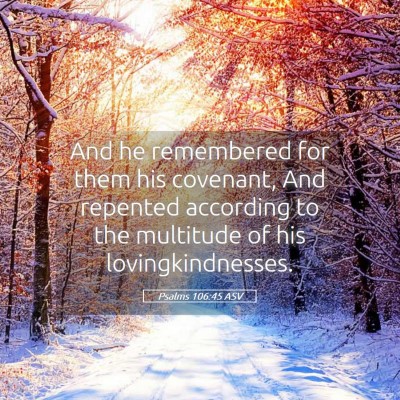 Picture 05 - Psalms 106:45 ASV - And he remembered for them his covenant, And - Bible Verse Picture