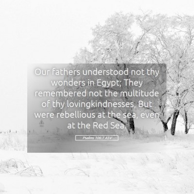 Picture 05 - Psalms 106:7 ASV - Our fathers understood not thy wonders in Egypt; - Bible Verse Picture