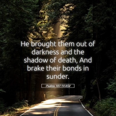Picture 05 - Psalms 107:14 ASV - He brought them out of darkness and the shadow of - Bible Verse Picture