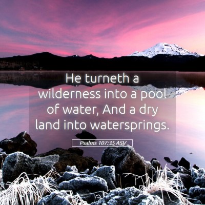 Picture 05 - Psalms 107:35 ASV - He turneth a wilderness into a pool of water, And - Bible Verse Picture