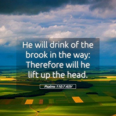 Picture 05 - Psalms 110:7 ASV - He will drink of the brook in the way: Therefore - Bible Verse Picture