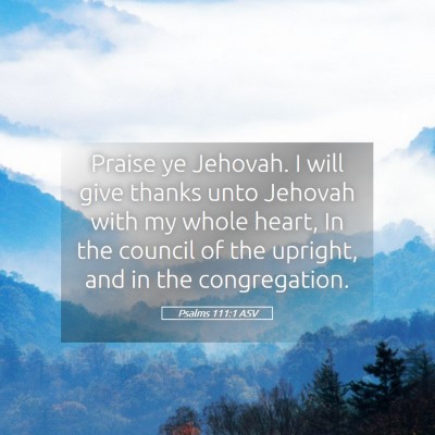Picture 05 - Psalms 111:1 ASV - Praise ye Jehovah. I will give thanks unto - Bible Verse Picture