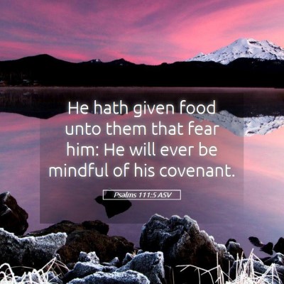 Picture 05 - Psalms 111:5 ASV - He hath given food unto them that fear him: He - Bible Verse Picture