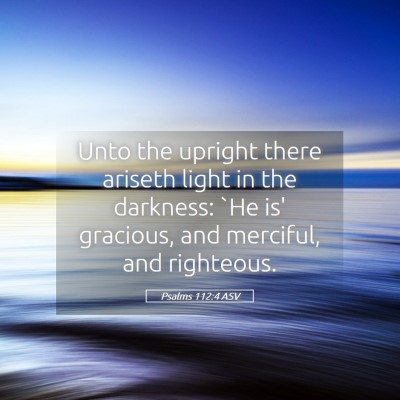 Picture 05 - Psalms 112:4 ASV - Unto the upright there ariseth light in the - Bible Verse Picture