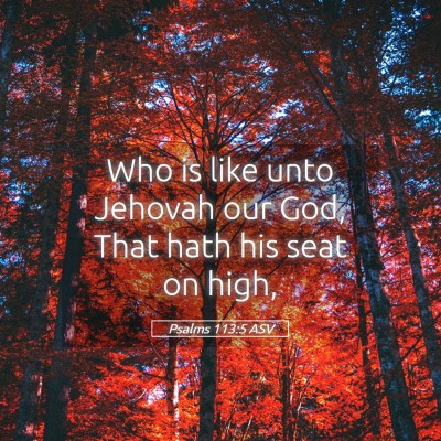 Picture 05 - Psalms 113:5 ASV - Who is like unto Jehovah our God, That hath his - Bible Verse Picture