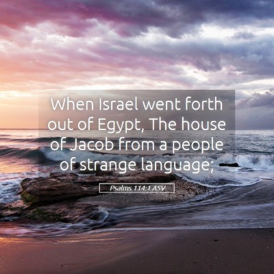 Picture 05 - Psalms 114:1 ASV - When Israel went forth out of Egypt, The house of - Bible Verse Picture