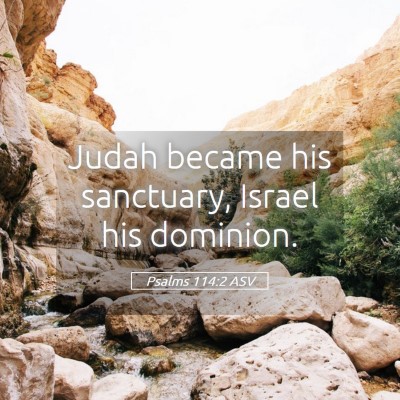 Picture 05 - Psalms 114:2 ASV - Judah became his sanctuary, Israel his - Bible Verse Picture