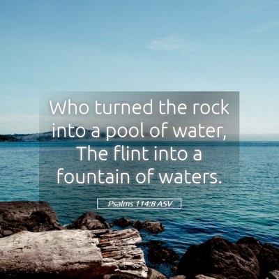 Picture 05 - Psalms 114:8 ASV - Who turned the rock into a pool of water, The - Bible Verse Picture