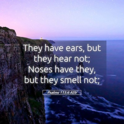 Picture 05 - Psalms 115:6 ASV - They have ears, but they hear not; Noses have - Bible Verse Picture