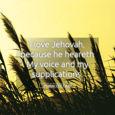 Picture 05 - Psalms 116:1 ASV - I love Jehovah, because he heareth My voice and - Bible Verse Picture